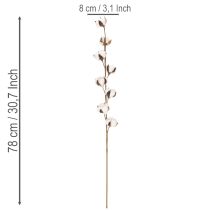 daiktų Dirbtinė medvilnės šakelė su 8 tikrais žiedais, 78 cm