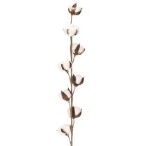 daiktų Dirbtinė medvilnės šakelė su 8 tikrais žiedais, 78 cm