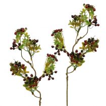 daiktų Dirbtinė uogų šakelė cotoneaster raudona 50cm 2vnt