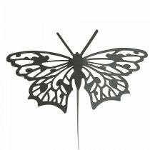 Gėlių kamštis metalinis drugelis juodas 10,5×8/44cm 3vnt