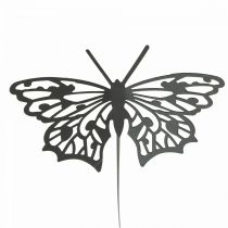 daiktų Gėlių kamštis metalinis drugelis juodas 10,5×8/44cm 3 vnt