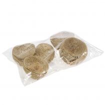 daiktų Džiovintų vaisių varpelio taurė Natūrali gedulo dekoracija 8,5-11cm 10 vnt