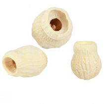 daiktų Džiovintas varpinis vaisius balintas 2,5-3,5cm 500g