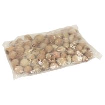 daiktų Bellgum varpinis vaisius kapsulinis vaisius natūralus dekoravimas rudas 500g