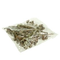 daiktų Bellgum šaka 4 - 14 galvučių 20 vnt