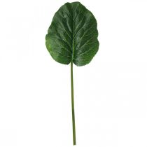 daiktų Dirbtinis žalias augalas Bergenia žalias dirbtinis augalas 53cm