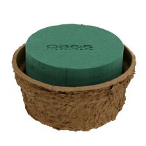 daiktų Drėgnos gėlių putos su dubenėliu gėlėms H10cm Ø16cm 2 vnt