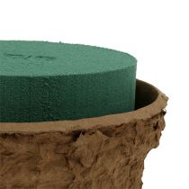 daiktų Drėgnas gėlių putplasčio dubuo gėlių kompozicijoms Ø18cm 2 vnt