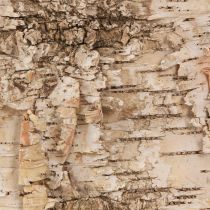 daiktų Dekoratyvinės beržo žievės juostelės natūralios baltos 48×15cm 6 vnt