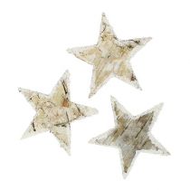 Beržinės žvaigždės gamta pasnigo 6,5cm 30p