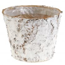 daiktų Dekoratyvinis vazonas balinto beržo augalų vazonas Ø18cm H15cm 2vnt