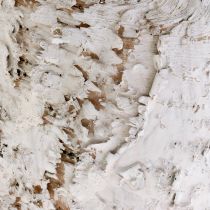 daiktų Dekoratyvinis vazonas balinto beržo augalų vazonas Ø18cm H15cm 2vnt