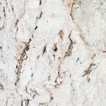 daiktų Beržo vazonas vidutinio augalo vazonas beržas baltas Ø12cm H10,5cm 4 vnt