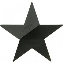 daiktų OASIS® Black Bioline® Floral Foam Star Black H30cm 2 vnt