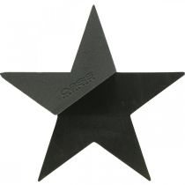 OASIS® Black Bioline® Floral Foam Star Black H30cm 2vnt