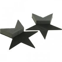daiktų OASIS® Black Bioline® Floral Foam Star Black H30cm 2 vnt