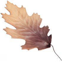 Raudonojo ąžuolo lapai rudens lapai deko lapai deko 13×19cm 12vnt