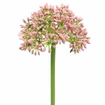 daiktų Allium dirbtinė rožinė 55cm