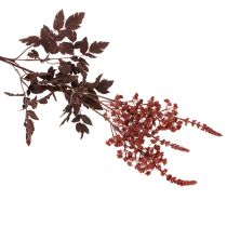 daiktų Dirbtinė gėlė Astilbe ilgakotė spindesys 80cm