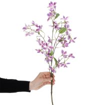 daiktų Dirbtinė Clematis šakelė, ilgaamžė stalo dekoracija, 110 cm, 3 dalys
