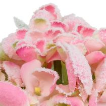 Hortenzija rožinė snieguota 33cm 4vnt