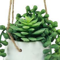 daiktų Pakabinami krepšeliai sukulentai dirbtinė žalia asorti 18cm 3vnt