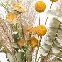 Dirbtinės gėlės Craspedia plunksnų žolė eukaliptas 55cm kekė