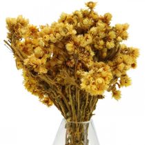 Mini šiaudinė gėlė, geltona džiovintų gėlių puokštė, sausa puokštė H20cm 15g