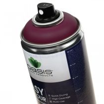 OASIS® Easy Color Spray, dažų purškiklis Erika 400ml