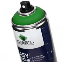 Easy Color Spray, purškiamas dažų žalias, spyruoklinis dekoravimas 400ml