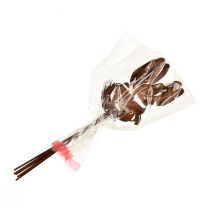 daiktų Gėlių kamštukas rūdžių triušio dekoras 7,5cm×11,5cm 6 vnt