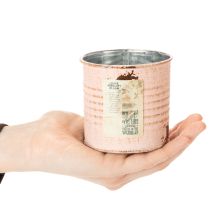 daiktų Dekoratyvinis gėlių vazonas lašišos metalinėje žolelių dėžutėje Ø8cm A7.5cm