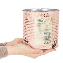 daiktų Dekoratyvinis lašišos formos metalinis vazonas Ø15,5 cm, aukštis 15 cm