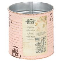 daiktų Gėlių vazonas, dekoratyvinis lašišos formos metalinis, vasaros dekoracija, Ø11cm, aukštis 10.5cm