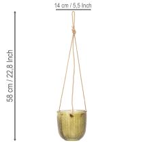 daiktų Stiklinis gėlių vazonas / pakabinamas žibintas, violetinis / žalias, 14 cm, 2 vnt.
