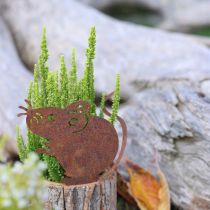 daiktų Medinis gėlių vazonas, žievės ir pelės formos, rūdžių spalvos, aukštis 24 cm