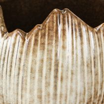 daiktų Vazonas Keraminis Kiaušinis Broken Grietinėlė Ruda Ø11,5cm 2 vnt