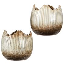 daiktų Vazonas Keraminis Kiaušinis Broken Grietinėlė Ruda Ø11,5cm 2 vnt