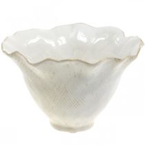 daiktų Gėlių vazonas keraminis vazonas gėlių taurė vazonas baltas Ø19cm