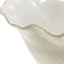 daiktų Gėlių vazonas keraminis vazonas gėlių taurė vazonas baltas Ø19cm