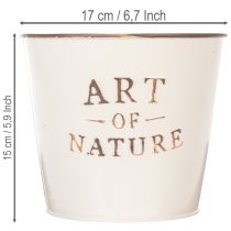 daiktų Cinko vazonas „Art of Nature Cream“ Ø17,5 cm, aukštis 15 cm