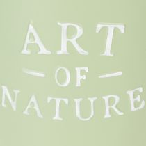 daiktų Cinko vazonas „Art of Nature“ mėtų žalios spalvos, Ø17,5 cm, aukštis15 cm