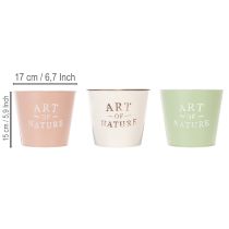 daiktų Apvalūs vazonėliai „Art of Nature“ 3 vnt. komplektas, pasteliniai, 17 cm