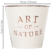 daiktų Cinko vazonas, kreminės spalvos, Ø15cm, aukštis13.5cm