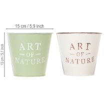 daiktų „Art of Nature“ vazonas su užrašu, palangės ir svetainės dekoracija, 15 cm, 2 vnt.