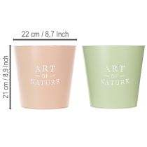 daiktų Apvalūs metaliniai vazonai „Art of Nature“ dekoracijoms ir augalams, 22 cm, 2 vnt.