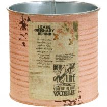 daiktų Gėlių vazonas dekoratyvinis skardinis lašiša metalo vasaros dekoracija Ø11cm H10,5cm