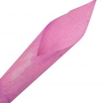Gėlių piltuvas cigarų kalla rožinis 18cm - 19cm 12vnt