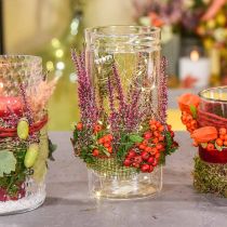 Gėlių vaza, stiklinis cilindras, stiklinė vaza apvali Ø10cm H16,5cm