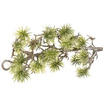 daiktų Dirbtinio bonsai vainikas, smulkiai padengtas sniegu, 180 cm